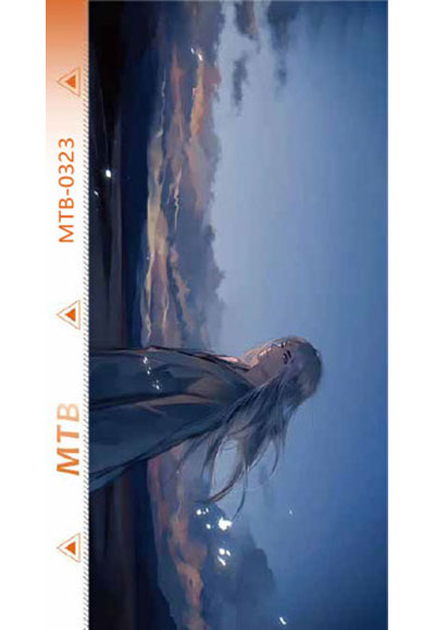 MTB-D0323