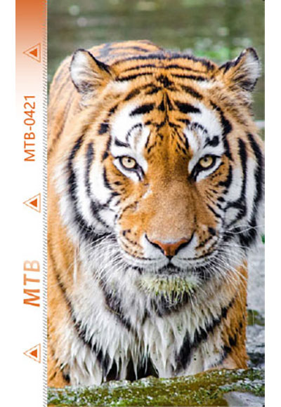 MTB-B0421