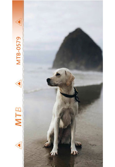 MTB-B0579